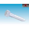 HEX HD LAG SCREWS, HDG_1